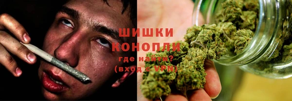 трава Новозыбков