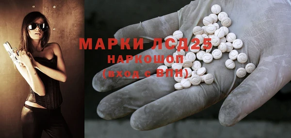 трава Новозыбков