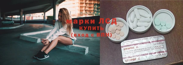гидра Новокубанск