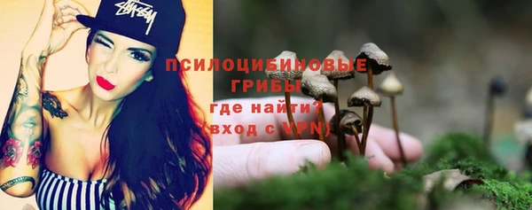 прущая мука Новодвинск