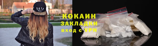 трава Новозыбков