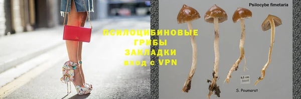 гидра Новокубанск