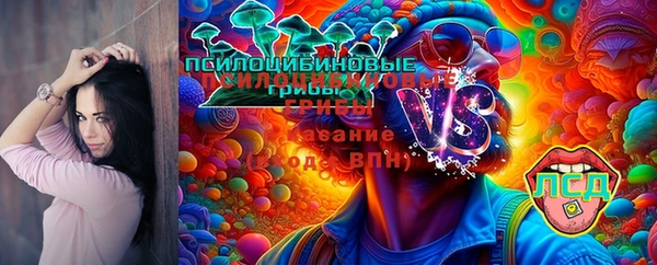 трава Новозыбков