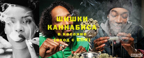 трава Новозыбков