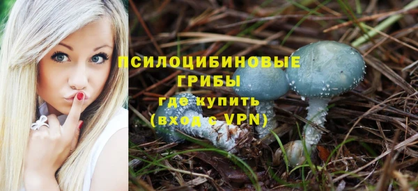 прущая мука Новодвинск