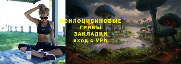 прущая мука Новодвинск